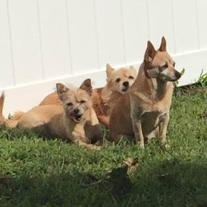 Meet your Posher, Patricia